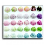 Dollhouse Ice Cream Scoops Poster