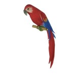 Dollhouse Feathered Parrot