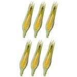 (*) Dollhouse  6 pc Ears of Corn