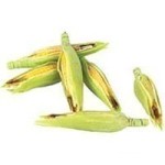 (*) Dollhouse  6 pc Ears of Corn