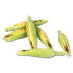 (*) Dollhouse  6 pc Ears of Corn
