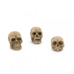 (*) 1 pc Assorted - Dollhouse Halloween Skull