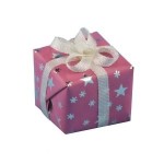 Dollhouse Wrapped Birthday Gift