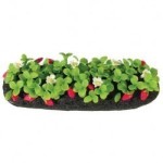 Dollhouse Strawberry Garden Bed