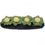 Dollhouse Cauliflower Garden Bed