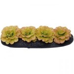Dollhouse Red Leaf Lettuce Garden Bed