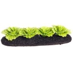Dollhouse Green Leaf Lettuce Garden Bed