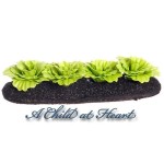 Dollhouse Green Leaf Lettuce Garden Bed