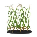 Large or Small Dollhouse Corn Stock Gardens