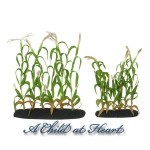 Large or Small Dollhouse Corn Stock Gardens