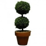 Dollhouse Large Round Topiary