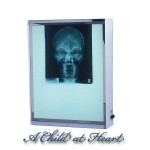 (*) Dollhouse Miniature X-Ray Screen Box