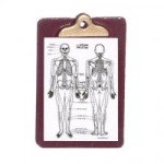 (*) Dollhouse Patient Medical Chart &amp; Clipboard