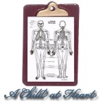 (*) Dollhouse Patient Medical Chart &amp; Clipboard