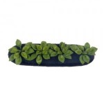 Dollhouse Spinach Garden Bed