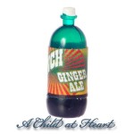 (* Reduced  .50&amp;cent; ) Dollhouse 2 liter Bottle - Ginger Ale