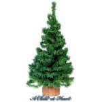 (&amp;sect;) Disc. Dollhouse Christmas Trees- Choice of Height -
