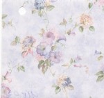 (&amp;sect;) Disc 50% Off - 3 Shts Morning Glories Paper- Choice of Color -