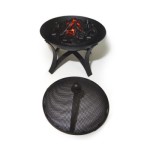 Dollhouse Working Fire Pit