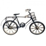 Dollhouse Adult Bicycle