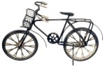 Dollhouse Adult Bicycle