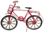 Dollhouse Adult Bicycle
