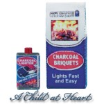 Dollhouse Charcoal Briquettes w/Lighter Fluid