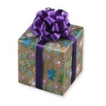 Dollhouse Wedding Gift
