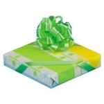(*) Dollhouse Thin Gift (Assorted)