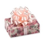 Small Dollhouse Gift