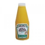 Dollhouse Heinz Brown Spicy Mustard