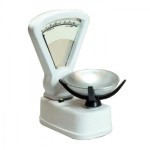 (*) Dollhouse Shop Scale
