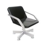 ( ) Dollhouse Backwash Chair(Choice of Color)