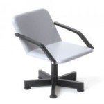 ( ) Dollhouse Backwash Chair(Choice of Color)