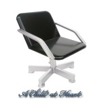 ( ) Dollhouse Backwash Chair(Choice of Color)