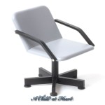 ( ) Dollhouse Backwash Chair(Choice of Color)