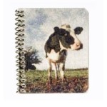 Dollhouse Assorted Spiral Notebooks