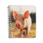 Dollhouse Assorted Spiral Notebooks