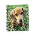 Dollhouse Assorted Spiral Notebooks
