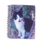 Dollhouse Assorted Spiral Notebooks