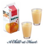 Dollhouse Orange Juice Set - Carton