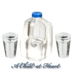 (*) Gallon Water Bottle with 2 Glasses