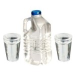 (*) 1/2 Gallon Water Bottle with Glass