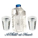 (*) 1/2 Gallon Water Bottle with Glass