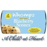 Dollhouse Can of Scones