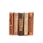Dollhouse Miniature Wizard Book Sets