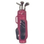 Dollhouse Golf Bag Set