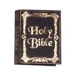 Dollhouse Holy Bible (Black)
