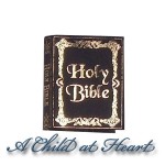 Dollhouse Holy Bible (Black)