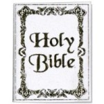Dollhouse Holy Bible (White)